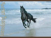 Честит Тодоров Ден!