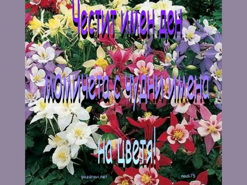 Момичетата с цветни имена.!