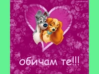 Любовта е ... сладка като тези кученца