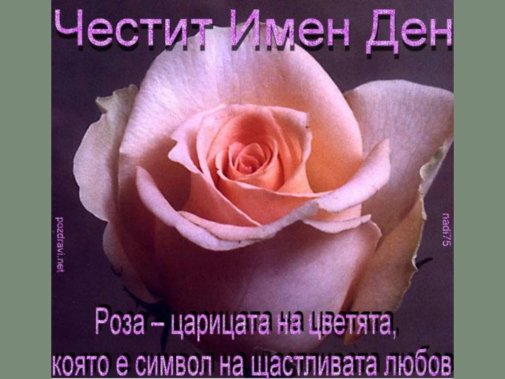 Цветница. Поздрав за Роза царица на цветята!