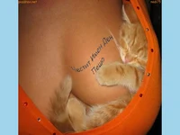 Честит Петров ден