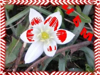 Честита Баба Марта!