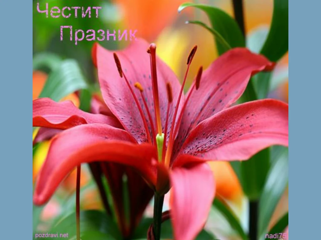 Чести Празник. Цветница.