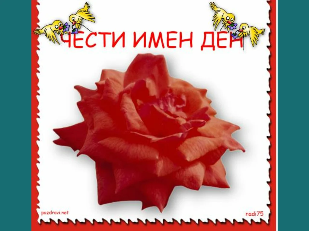 Цветница. Честит Имен Ден.