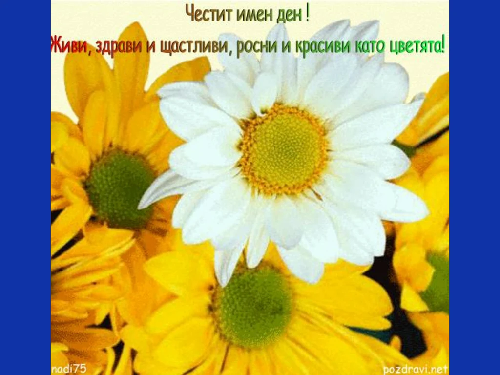 Цветница в жълто и бяло!