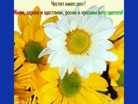 Цветница в жълто и бяло!