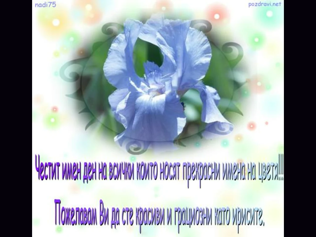 Ирис по Цветница!