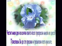 Ирис по Цветница!