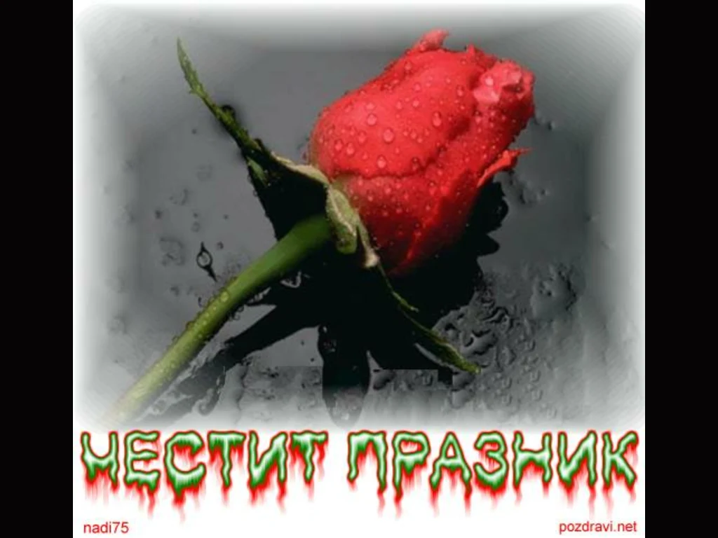 Капчици роса  Цветница!