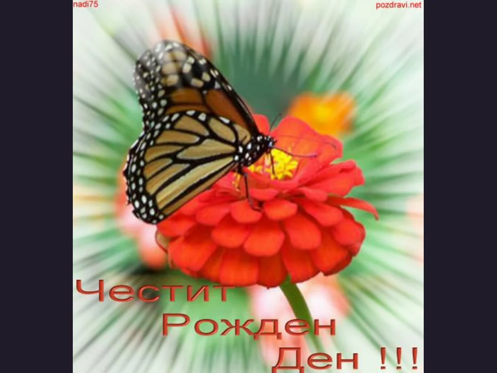 Честит Рожден Ден