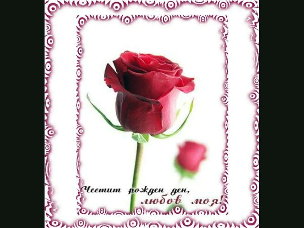 Честит Рожден Ден  любов моя