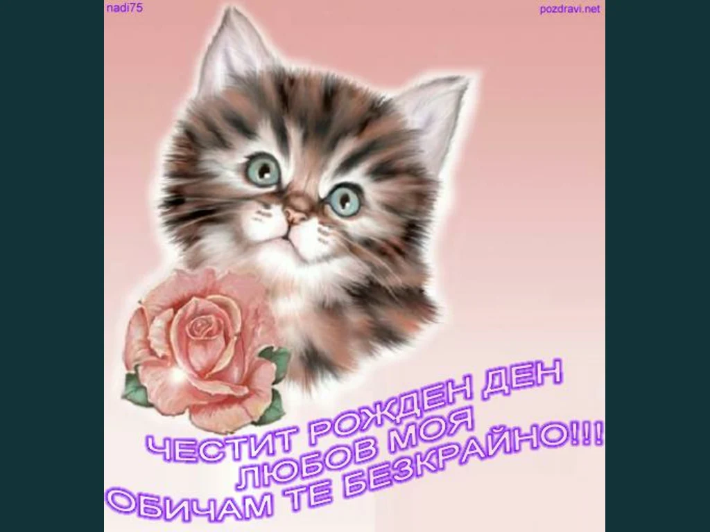 Честит Рожден Ден мило коте