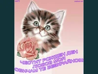 Честит Рожден Ден мило коте