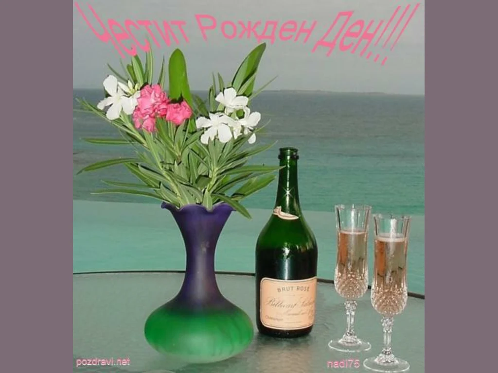 Честит Рожден Ден –  наздравица