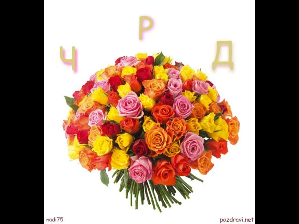 Честит Рожден Ден  Розичка