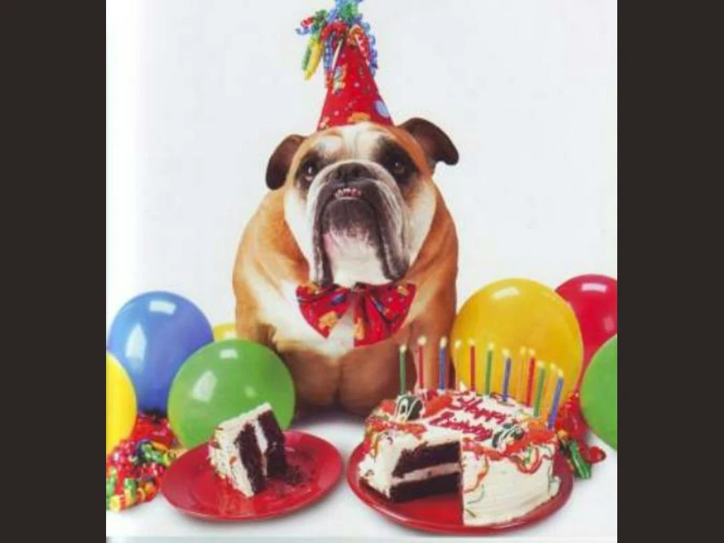 Щастлив Рожден Ден