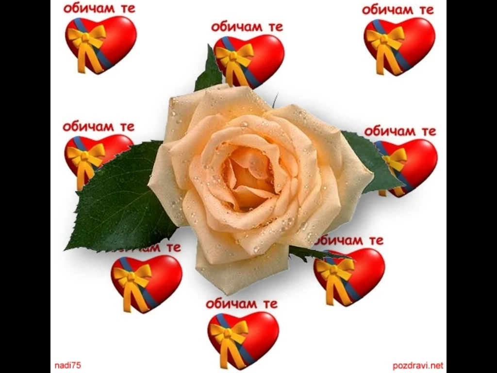 Любовта е живот!