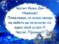 ЧИД Надежда