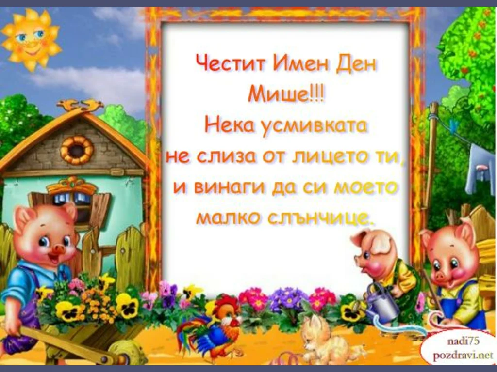 детска- ЧИД Мише