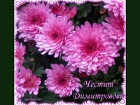 Честит Димитровден