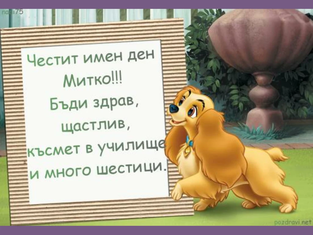 Честит имен ден Митко!!!