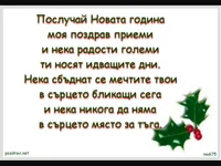 Весела Коледа !  Честита Нова Година!