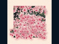 За твоя празник осми март!