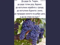 Благословене на реколтата грозде –Честит Трифонов Ден!