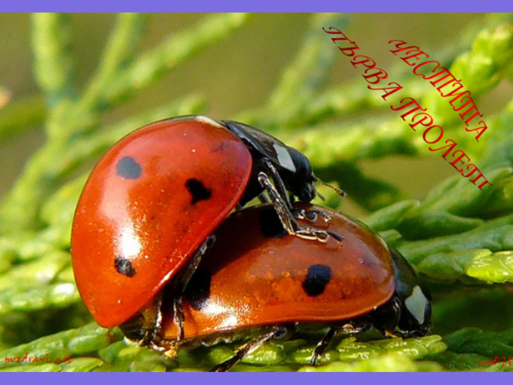 Пролетна любов!