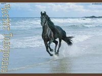 Честит Тодоровден!