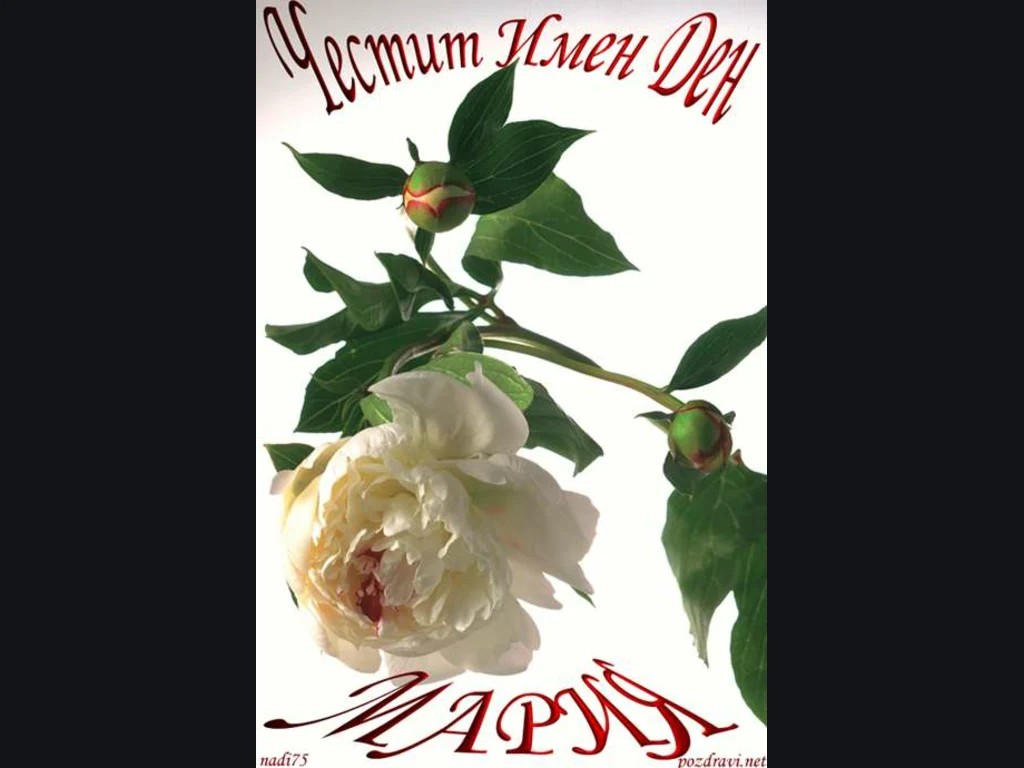 Честит Имен Ден Мария