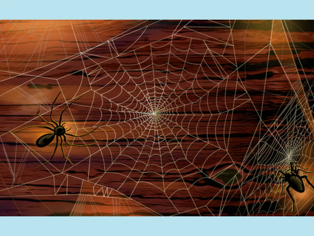 Картичка  зловеща паяжина!