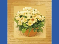 Цветница  Празник  на  Пролетта!