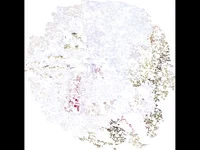 Коледна анимирана картичка2234