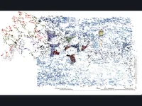 Коледна анимирана картичка2242