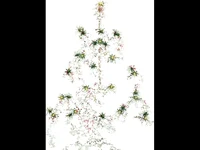 Коледна анимирана картичка2243