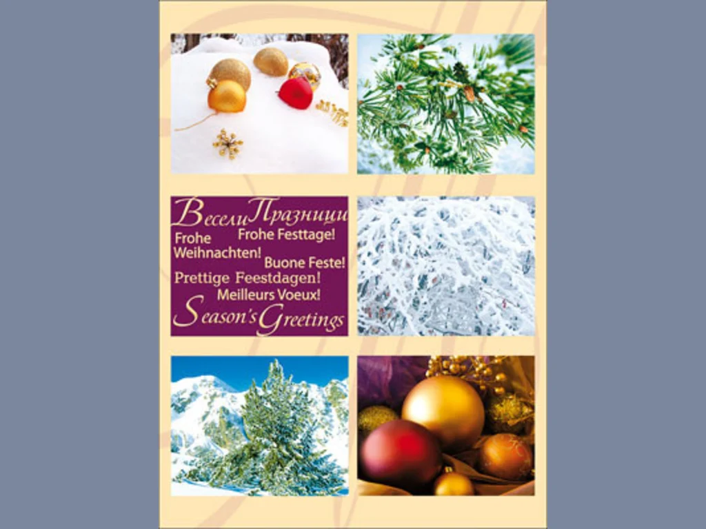 Нова Година - традиционни 124