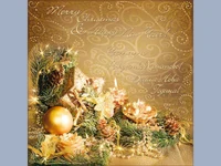 Честито Рождество Христово!Весела Нова Година!