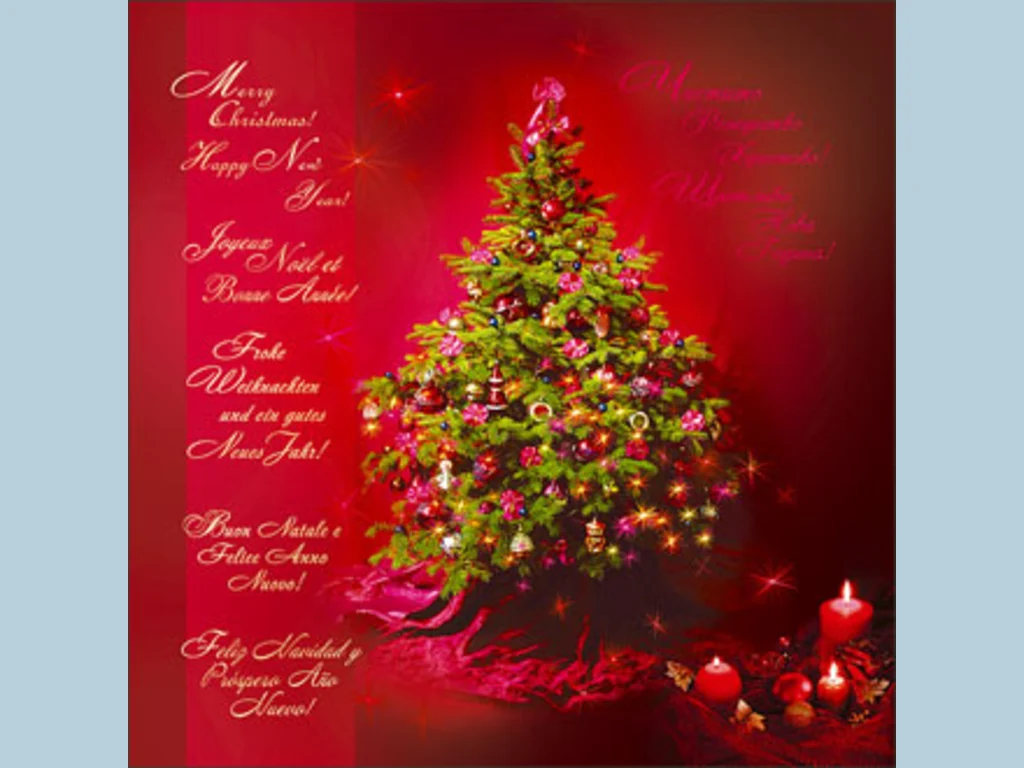 Честито Рождество Христово!Весела Нова Година!