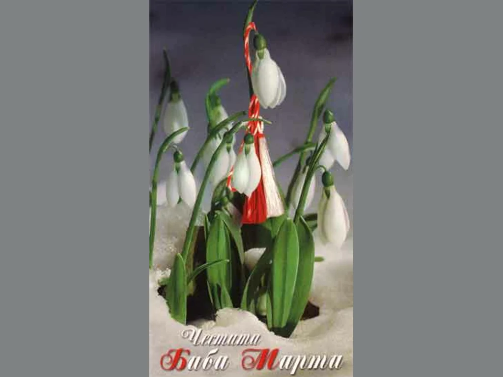 Кокичета с мартенички!