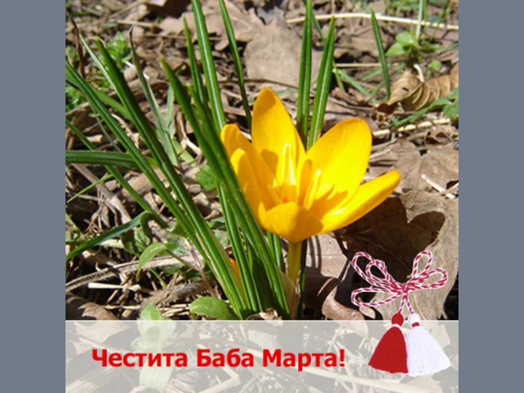 Минзухар с мартеничка!