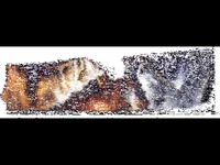 Честит Тодоровден!