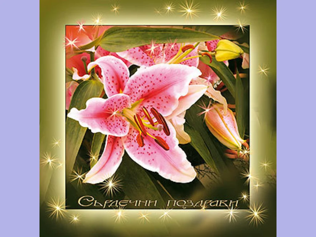 Сърдечни поздрави за 8 ми март!