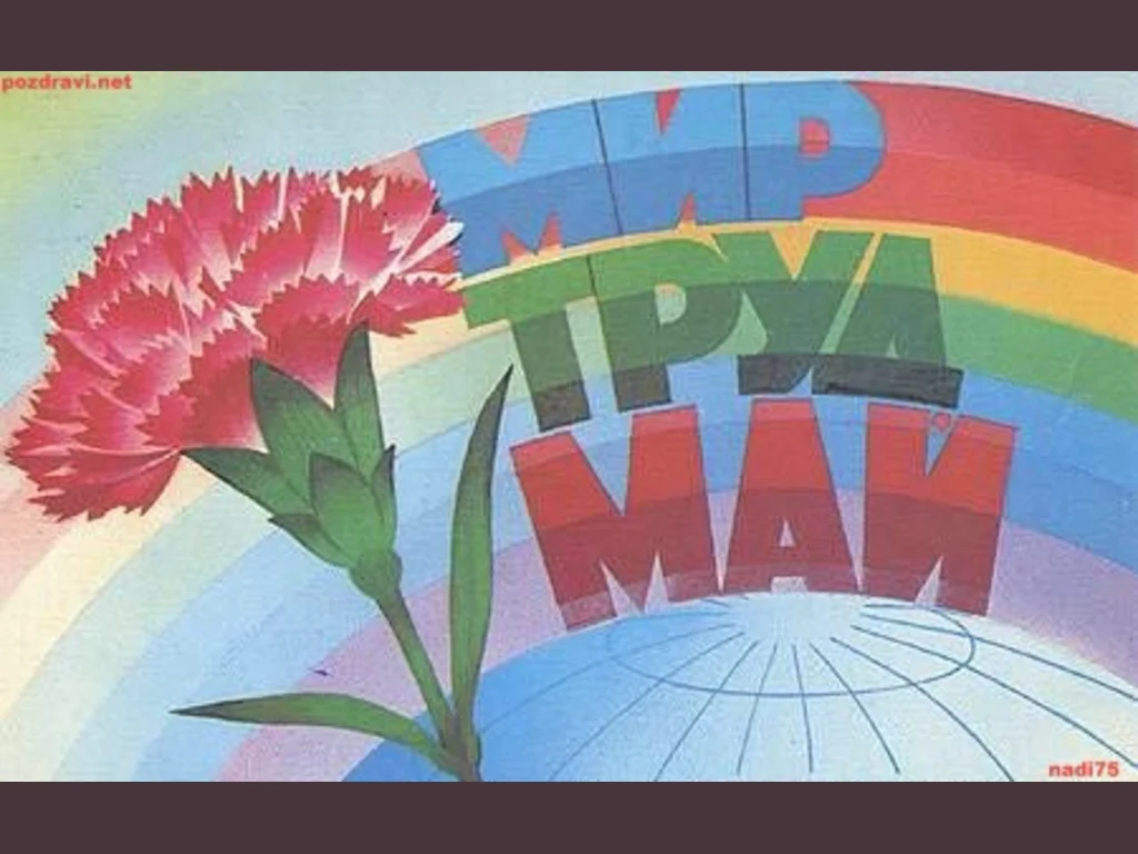 Карамфил за деня на труда