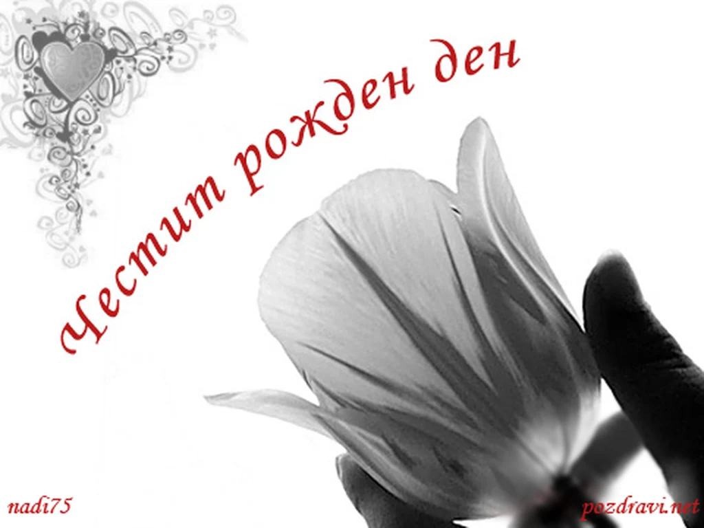Честит Рожден Ден  с цвете