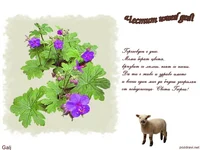 Честит Имен Ден