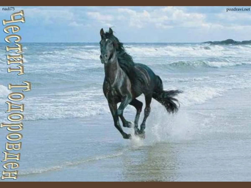 Честит Тодоров Ден!