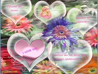 Обичам те силно!