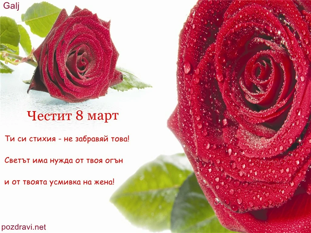 Ти си стихия!