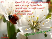 Честита първа пролет.